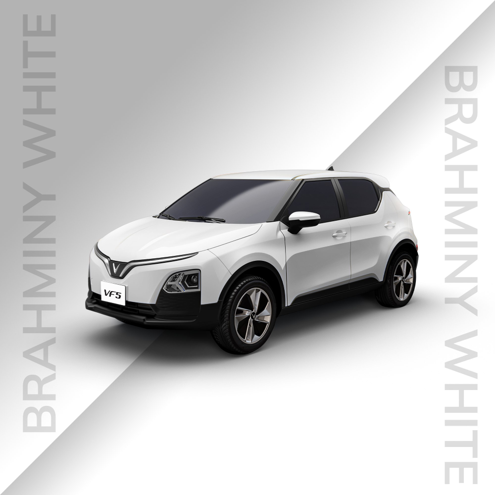 mệnh kim hợp màu gì khi mua xe VF 5 Plus